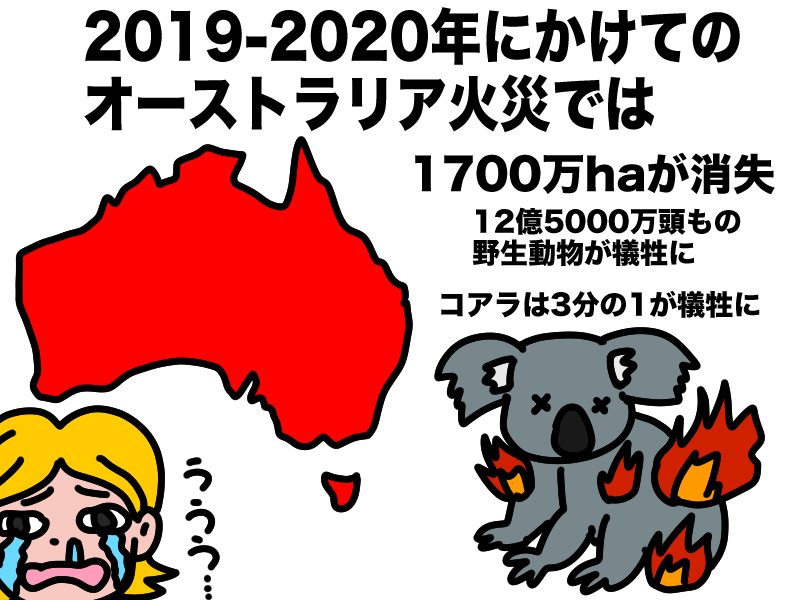 オーストラリアの大規模森林火災