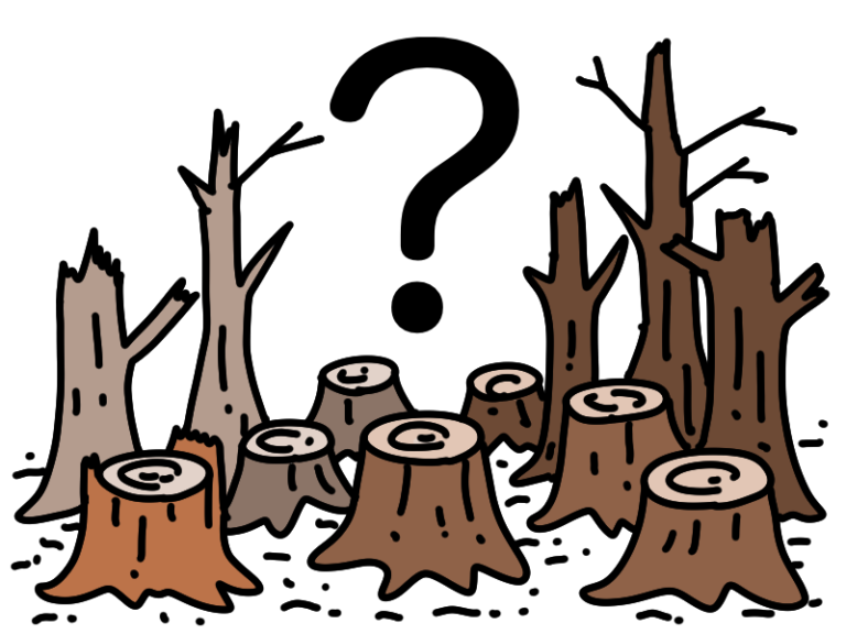 【マンガでわかる】森林破壊の原因と影響とは？