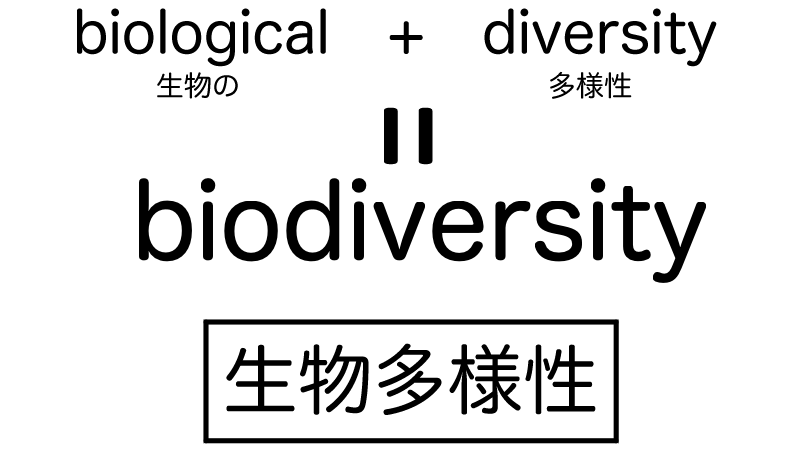 生物多様性