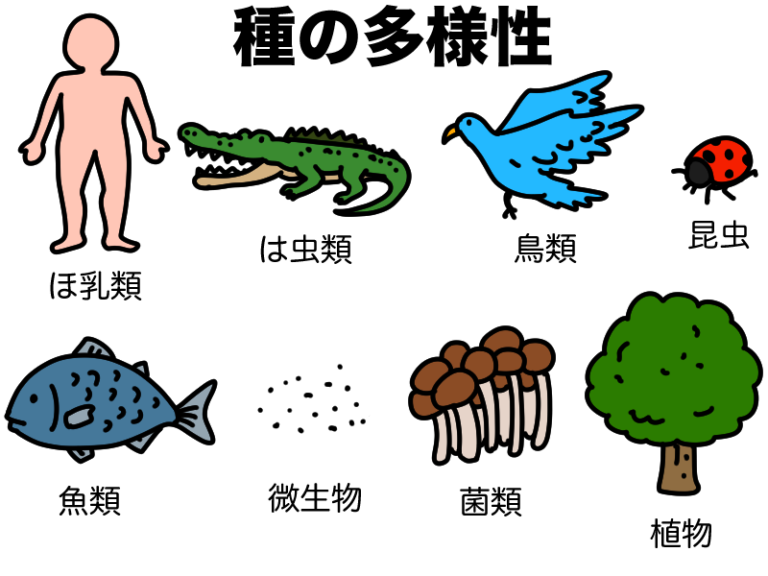 【マンガでわかる】生物多様性とは何か