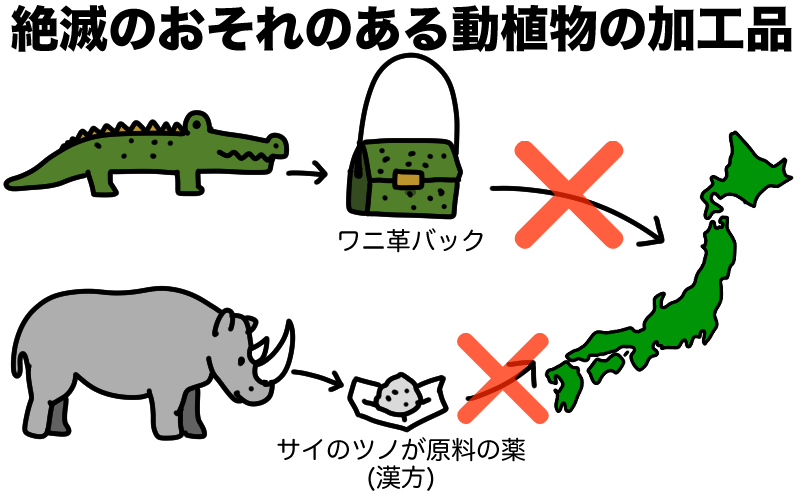 違法な手段の絶滅危惧種の加工品も規制対象