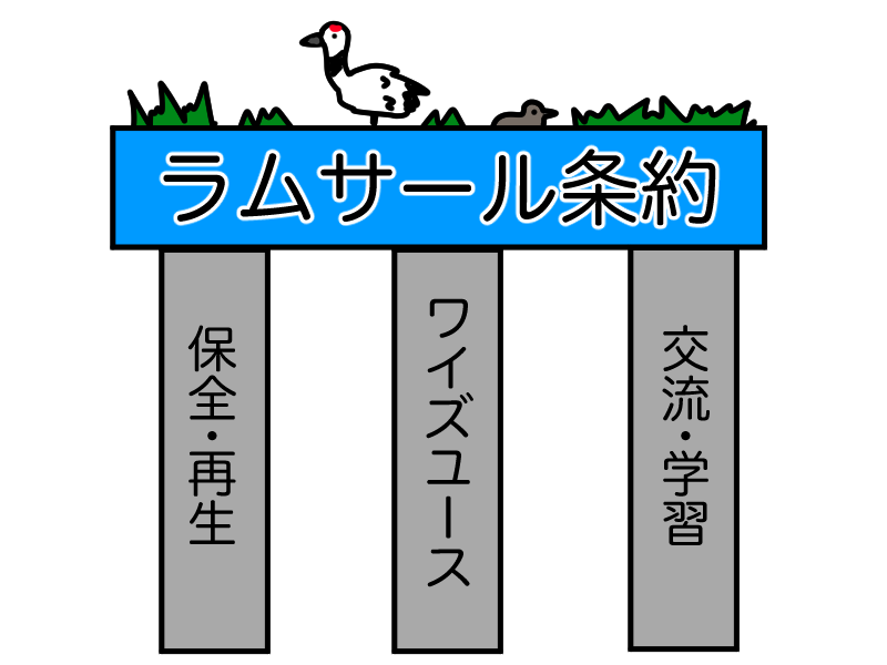 ラムサール条約の3本柱、保全再生、ワイズユース、交流学習